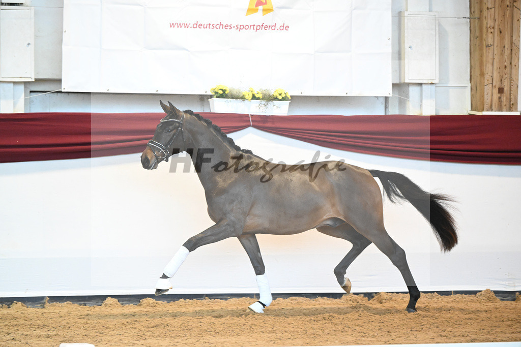 Kat-Nr. 9 v. Bonds_Schmidt_66221689 | hf-fotografie - Realisiert mit Pictrs.com