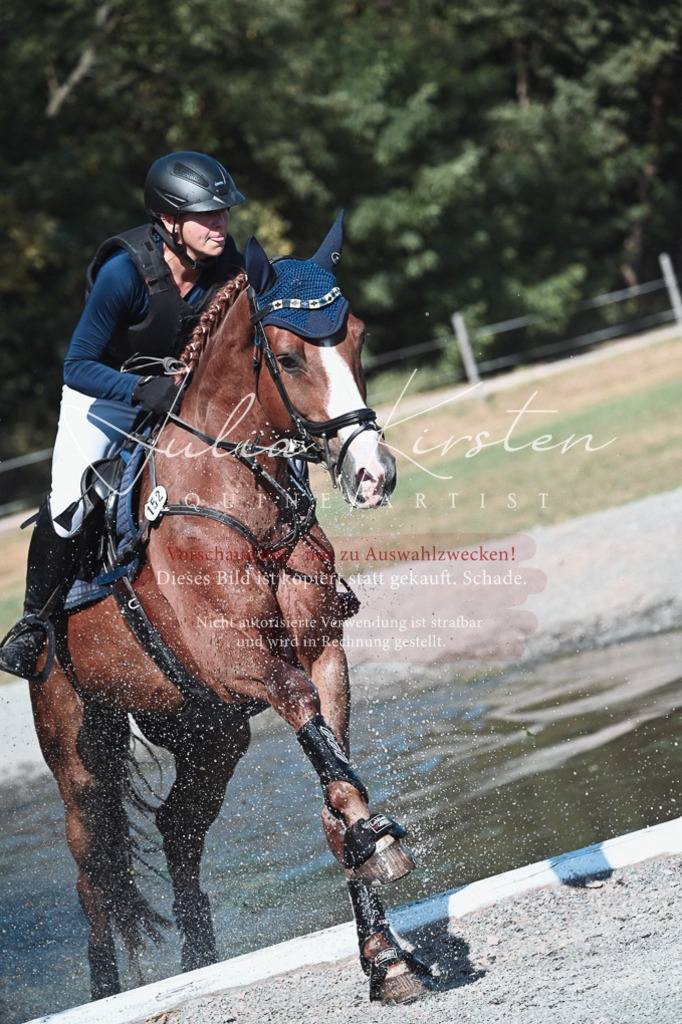 DSC_8619 | Pferde- und Turnierfotografie in Westsachsen. Pferdeportraits, Auftragszeichnungen und intuitive Kunst.