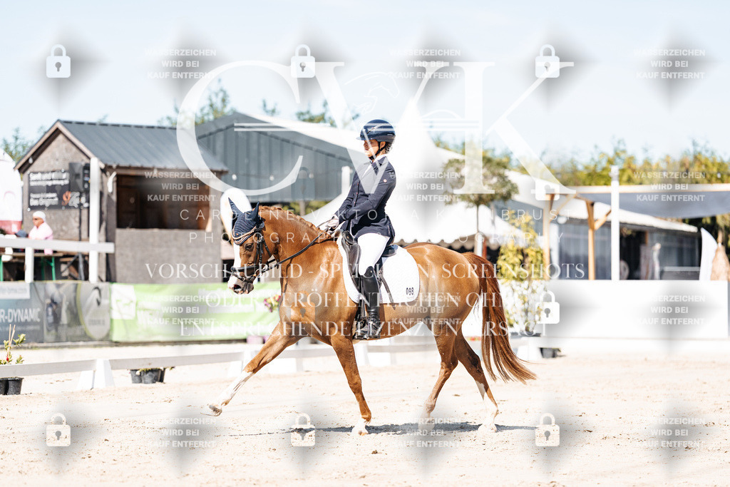 CK909149 | Turnierfotografie Pferdefotografie Trier Rheinland-Pfalz Pferdesport Reitsport Tierfotografie Sportfotografie Pferdevideo Pferdevideografie Equestrianvideography equestrianphotography  - Realisiert mit Pictrs.com