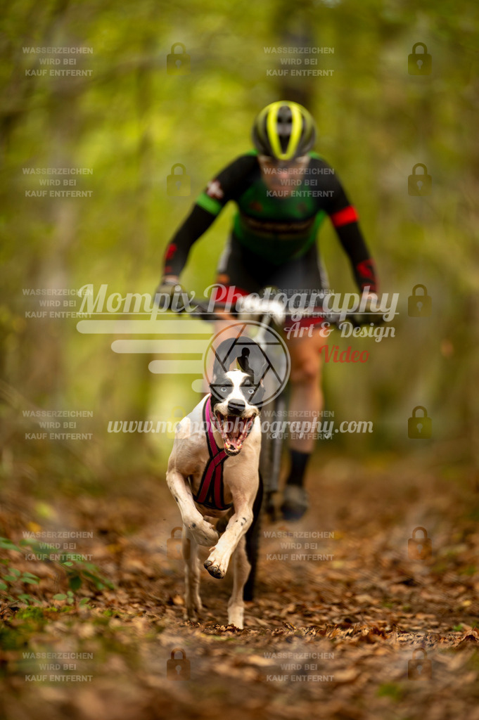TSB_2023_E1_Bike-37 | PayLife