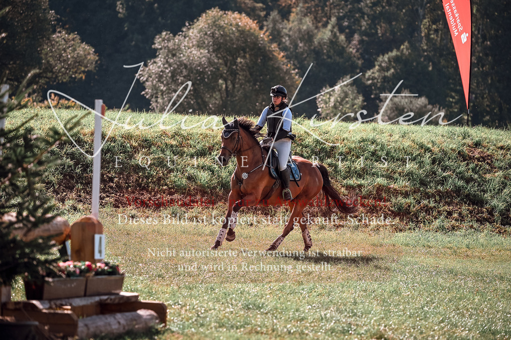DSC_0724 | Pferde- und Turnierfotografie in Westsachsen. Pferdeportraits, Auftragszeichnungen und intuitive Kunst.