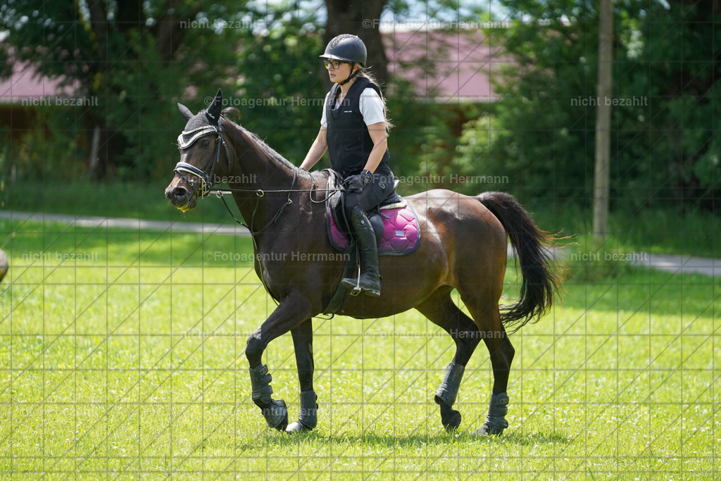 20240622-FAH07234 | Turnierfotografen Bayern, Reitsportbilder aus dem Geländekurs mit Felix Etzel auf dem Gut Waitzacker 2024