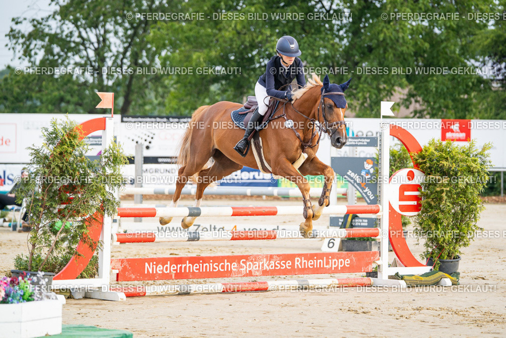 DSC07942 | Pferdegrafie