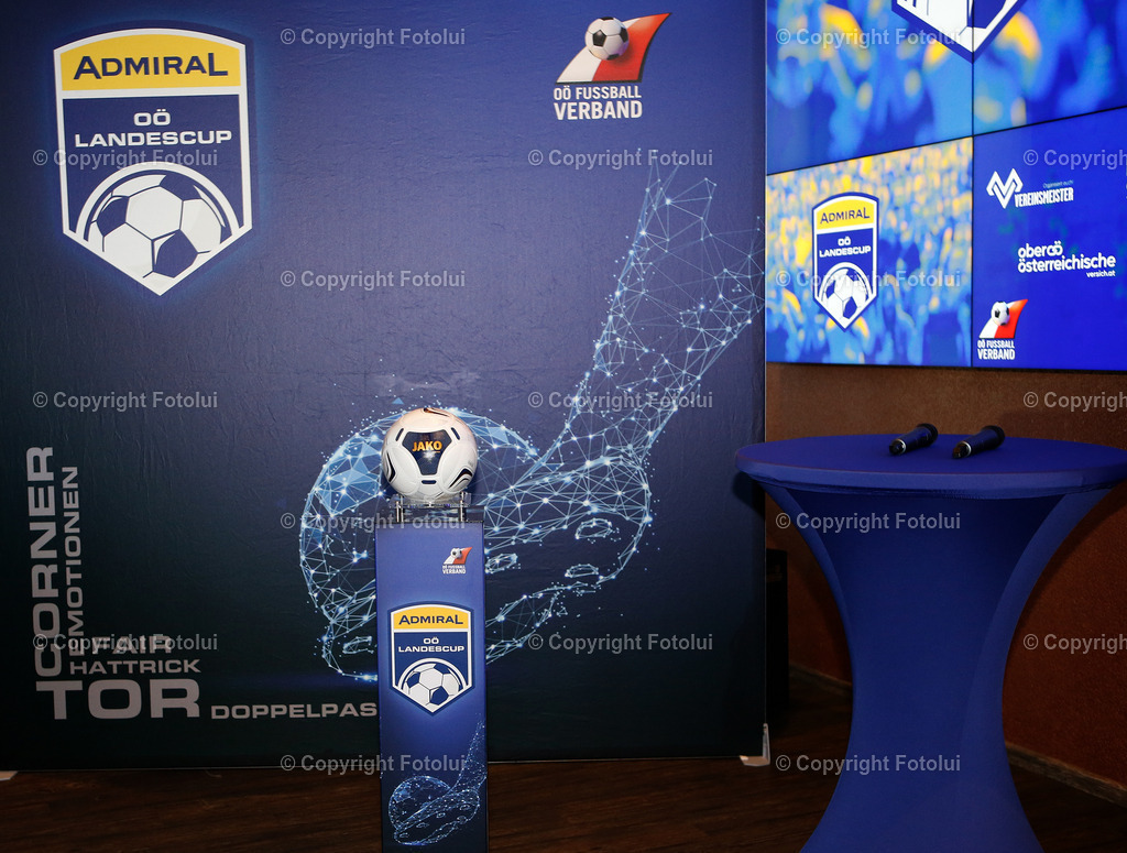 A_LUI_030724_11 | bilder, linz, photo, foto, fussball, sport, fotolui, bundesliga