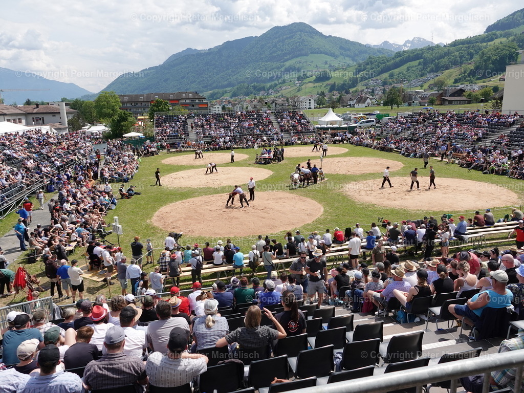 DSC06792 | Schwingen - Realisiert mit Pictrs.com