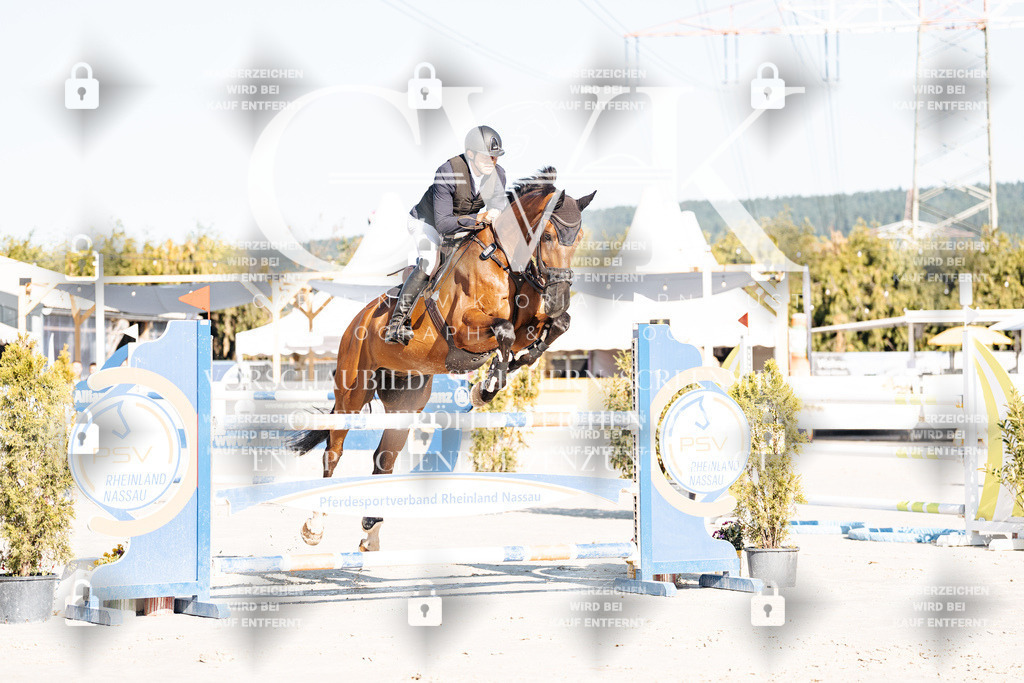 CK904201 | Turnierfotografie Pferdefotografie Trier Rheinland-Pfalz Pferdesport Reitsport Tierfotografie Sportfotografie Pferdevideo Pferdevideografie Equestrianvideography equestrianphotography  - Realisiert mit Pictrs.com