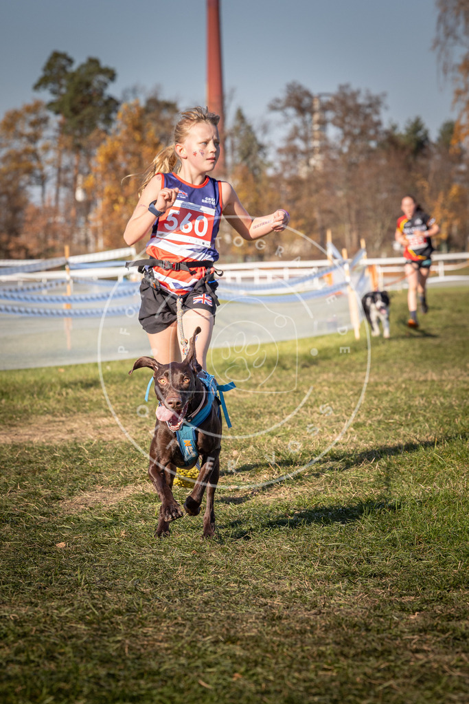 CaniXpix_0L8A7847 | Hundefotografie, Tierfotograf, Pfotenfotografie, Fotoshooting Hund, Hunde Portrait, Hundesport, Hundeportraits, Heideshooting, Hunde, Sportfotograf, Hundefotograf, Turnierhundsport, THS,  - Realisiert mit Pictrs.com