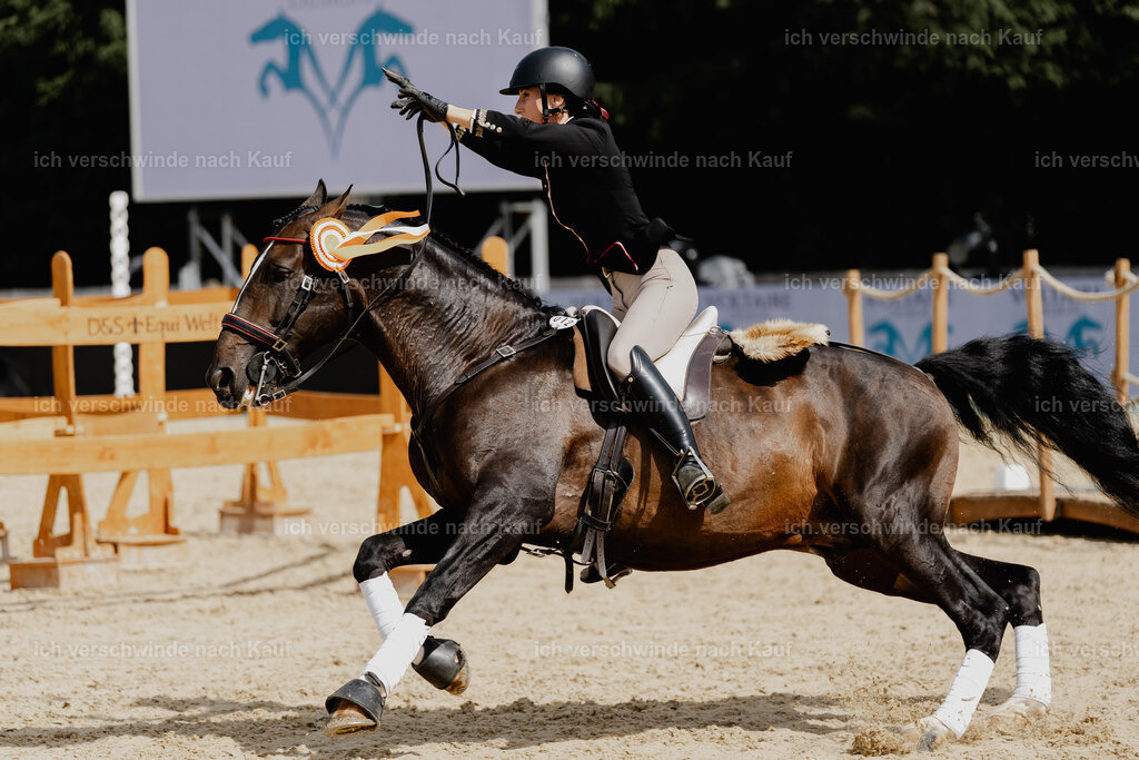 Virginie12FHC2025-3232 | working equitationturnier fotograf videograf stoibphotography marixx film working equitation deutschland reitsport turnierfotografie eventfotografie equestrian events