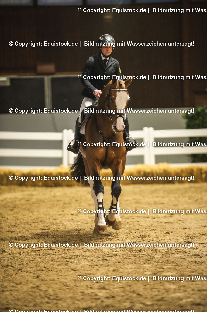 20240302_Hengstvorstellung_Marbach_TOMsPiC_0488-2 | equistock