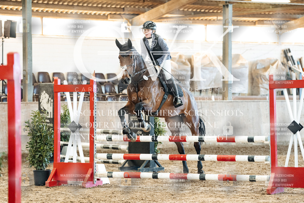 CK904651 | Turnierfotografie Pferdefotografie Trier Rheinland-Pfalz Pferdesport Reitsport Tierfotografie Sportfotografie Pferdevideo Pferdevideografie Equestrianvideography equestrianphotography  - Realized with Pictrs.com
