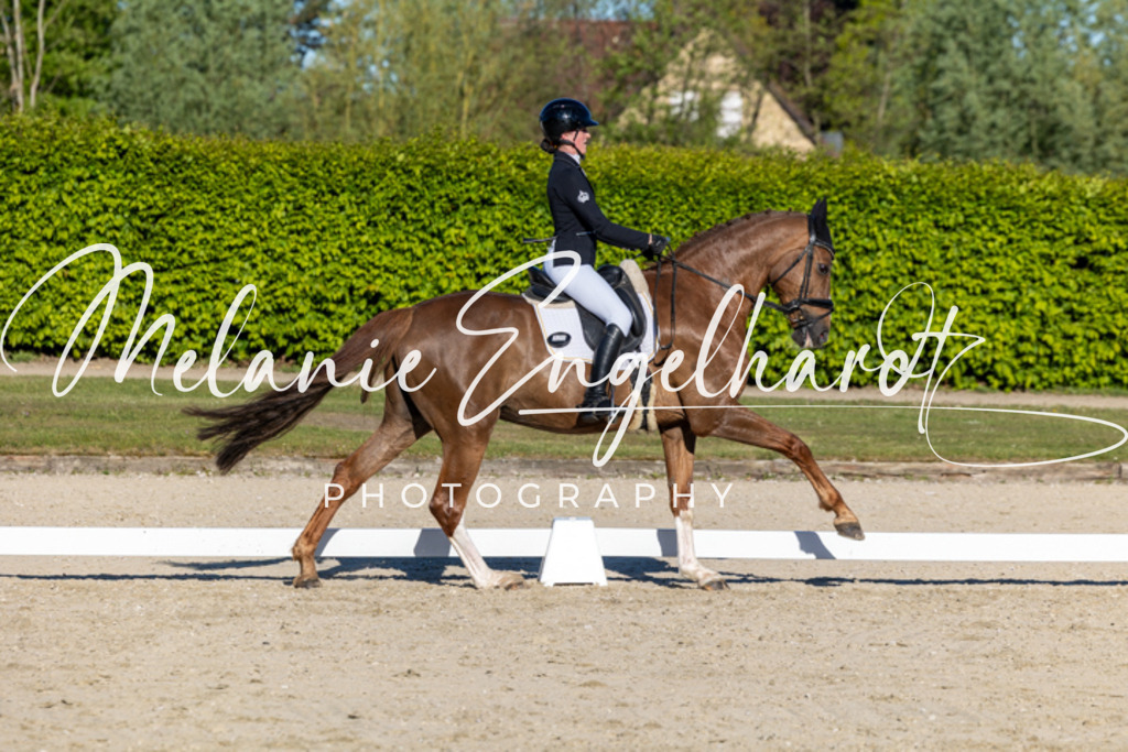 7I8A8577 | melanie-engelhardt-photography - Realisiert mit Pictrs.com
