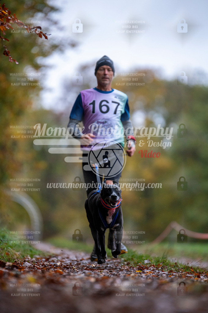 DBT_DAKM_SA_4_11_2023_Canicross-81 | PayLife