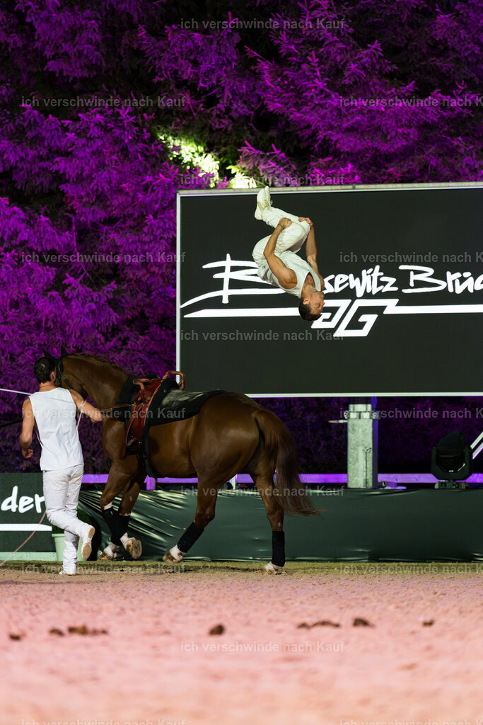 Gala-320 | working equitationturnier fotograf videograf stoibphotography marixx film working equitation deutschland reitsport turnierfotografie eventfotografie equestrian events