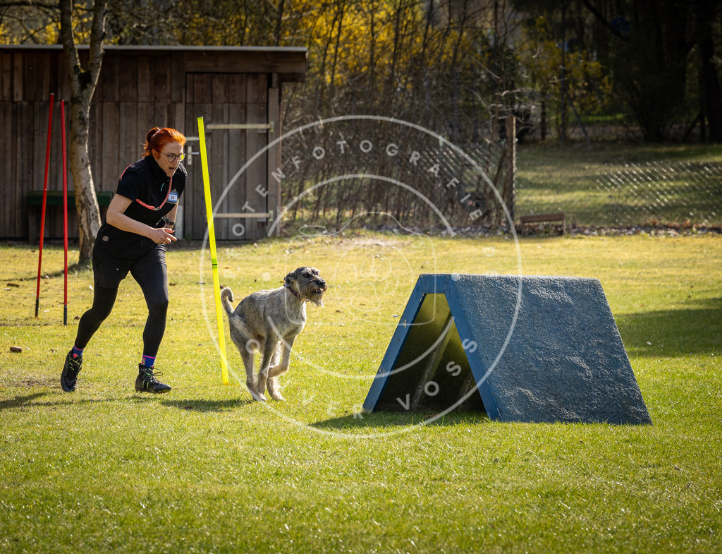 Pfotenfotografie_DV3A3284 | Hundefotografie, Tierfotograf, Pfotenfotografie, Fotoshooting Hund, Hunde Portrait, Hundesport, Hundeportraits, Heideshooting, Hunde, Sportfotograf, Hundefotograf, Turnierhundsport, THS,  - Realisiert mit Pictrs.com