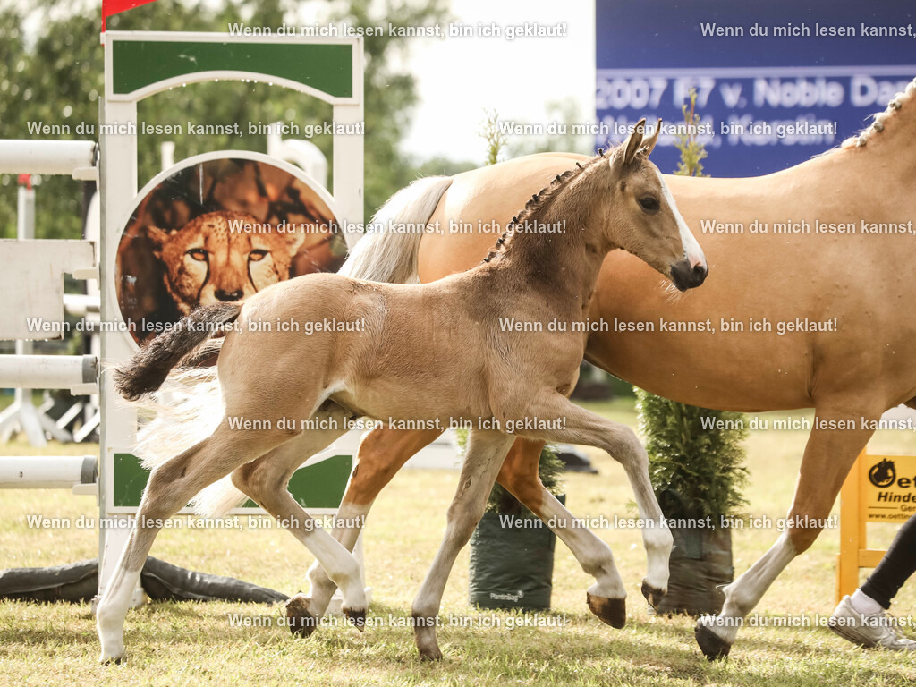 598A2202-2 | photographylinaismer - Realisiert mit Pictrs.com