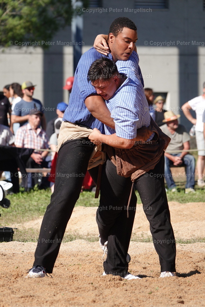 DSC01774 | Schwingen - Realisiert mit Pictrs.com