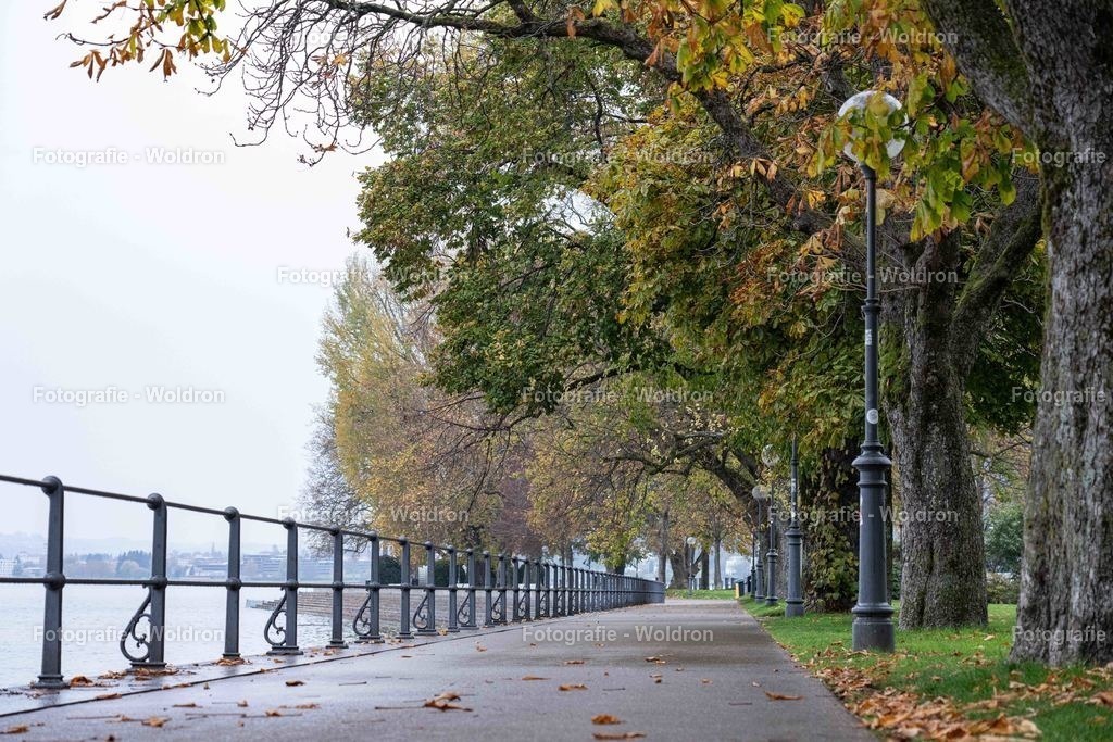 20221109 Bregenz-4 | Fotografie Woldron