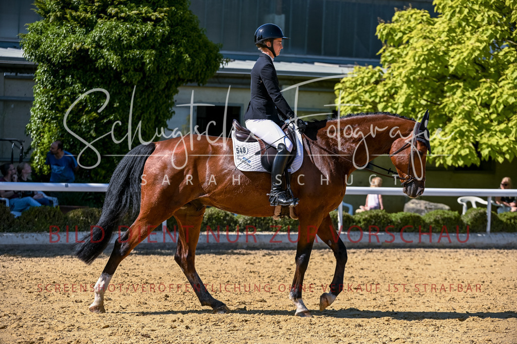 Schugtsche-Aluta25-50.Dressurpferdeprf.L-145 | Schugtsche Fotografie - Realisiert mit Pictrs.com