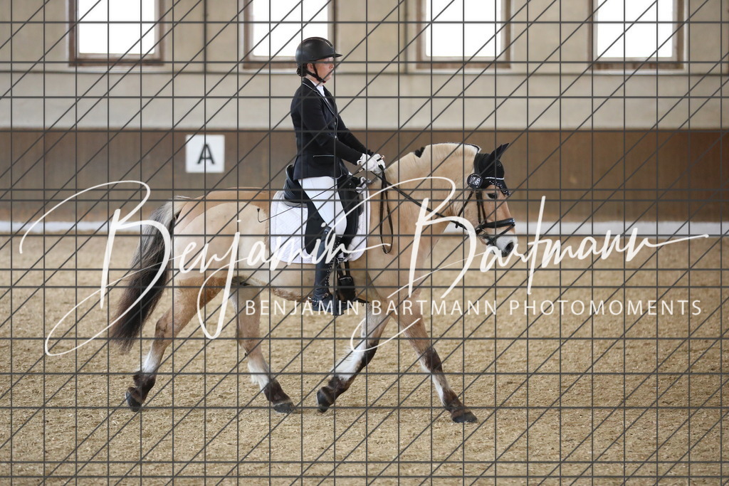 AZ2A0997 | Benjamin Bartmann Photomoments