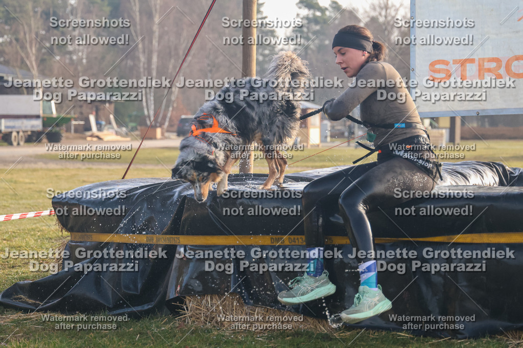 Dog Paparazzi - SD North 0326 900930-3 | Dog Paparazzi Jeanette Grottendiek Fotografie & Videografie - Realisiert mit Pictrs.com