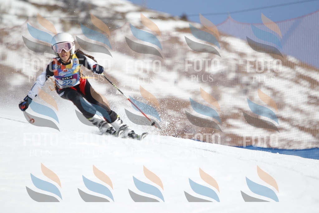 _U3G8888 | holidayphoto