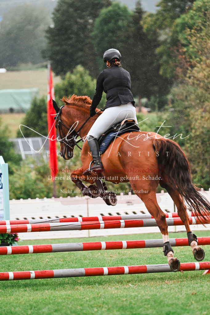 DSC_6436 | Pferde- und Turnierfotografie in Westsachsen. Pferdeportraits, Auftragszeichnungen und intuitive Kunst.
