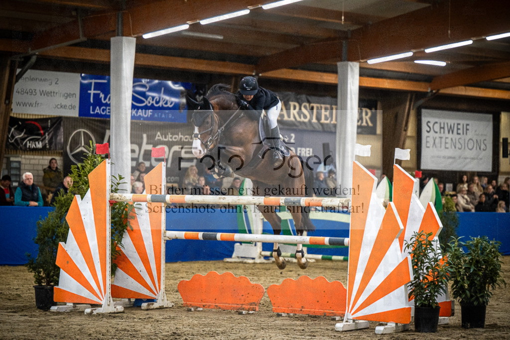 DOS_0667 | Entdecke hochwertige Reitturnierfotos von Foto Oger. Professionell, emotional und authentisch – jetzt Lieblingsmomente im Shop bestellen.Deutschlandweite Turnierfotografie. - Realisiert mit Pictrs.com