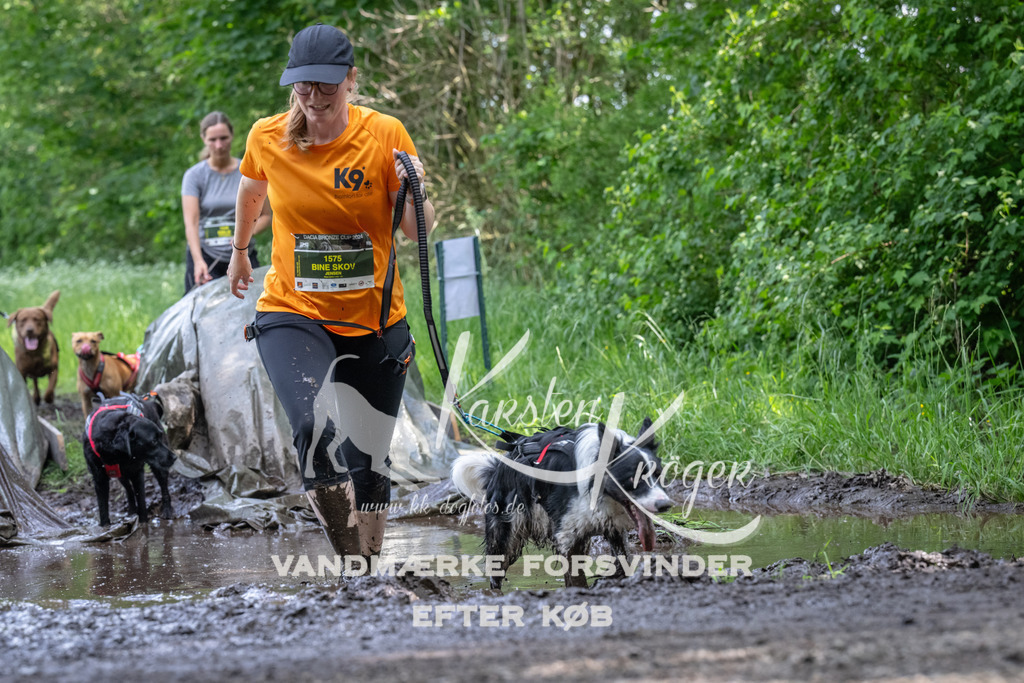 1347_ZZ92339 | kk-dogfotos
