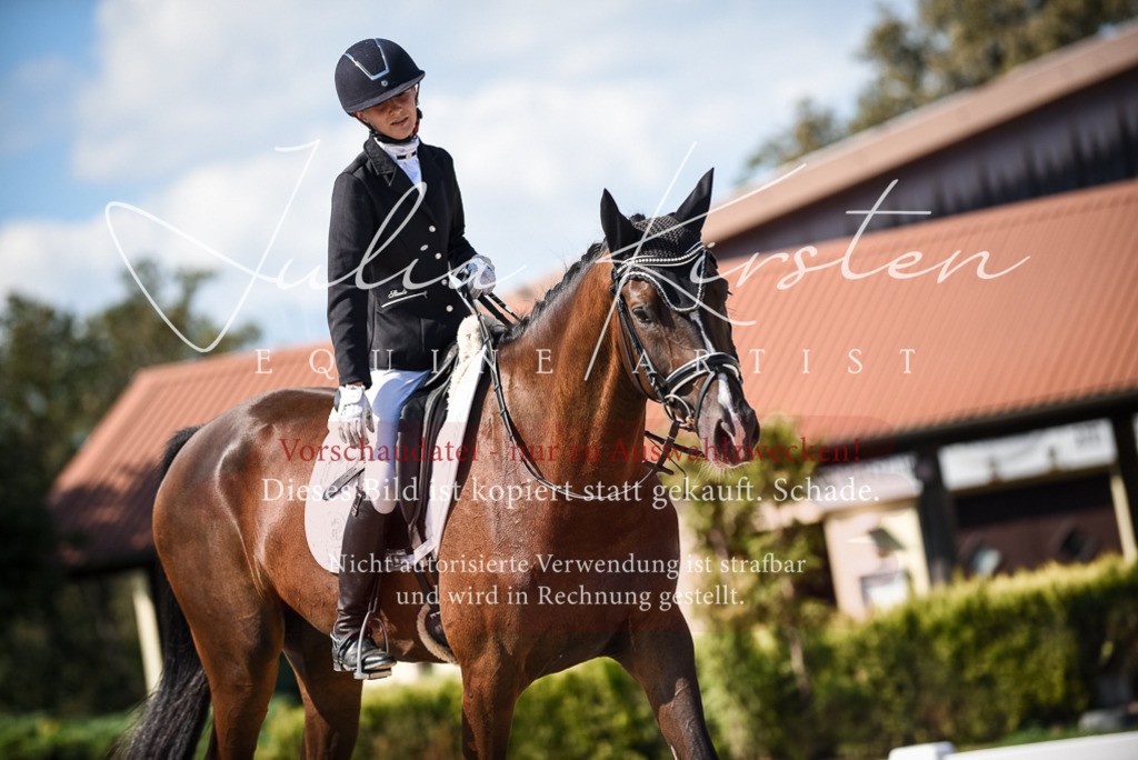 DSC_9621 | Pferde- und Turnierfotografie in Westsachsen. Pferdeportraits, Auftragszeichnungen und intuitive Kunst.