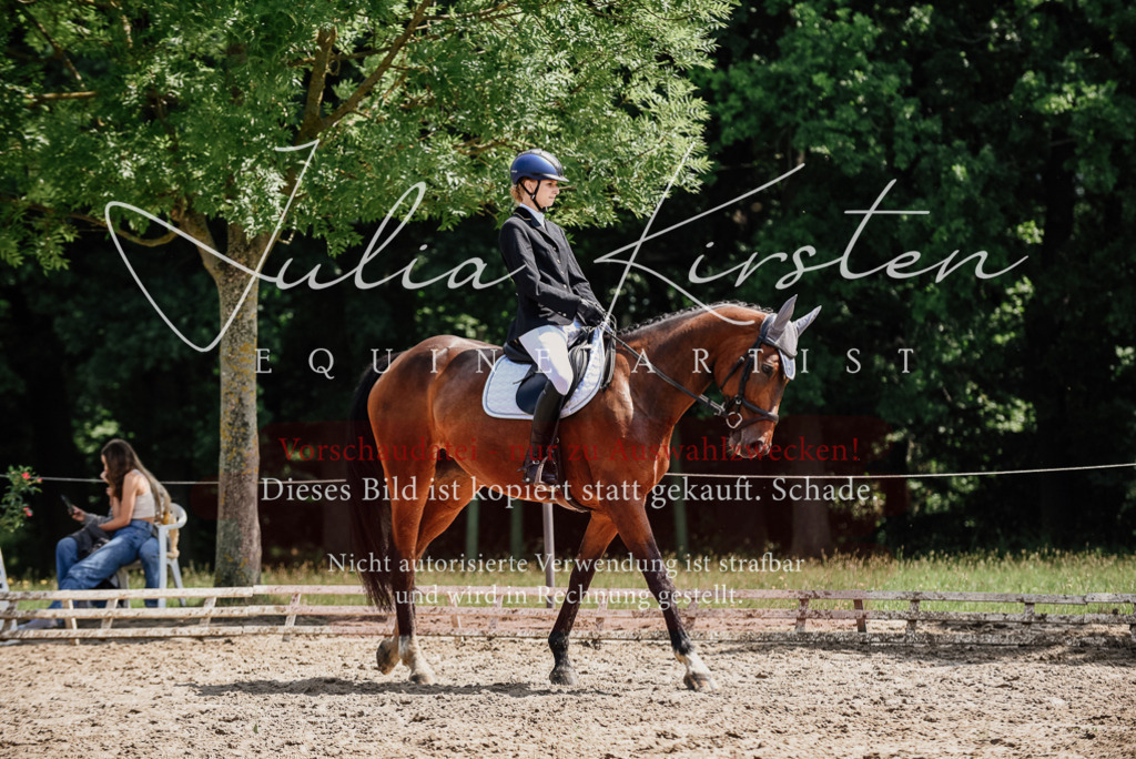 DSC_1128 | Pferde- und Turnierfotografie in Westsachsen. Pferdeportraits, Auftragszeichnungen und intuitive Kunst.