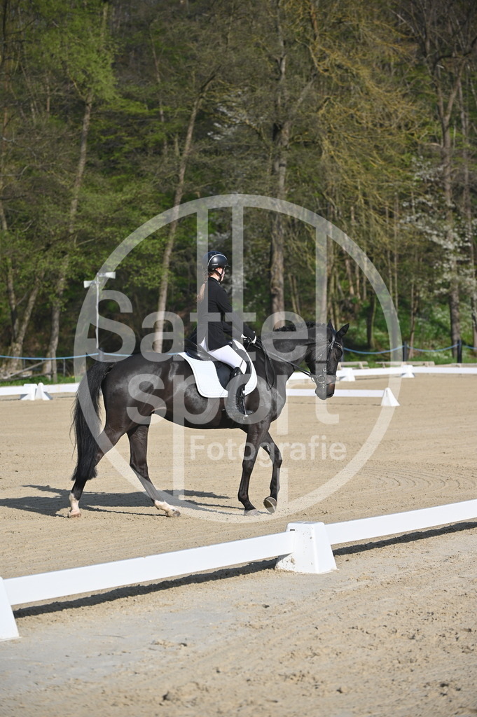 DSC_9910 | sattelsport - Realisiert mit Pictrs.com