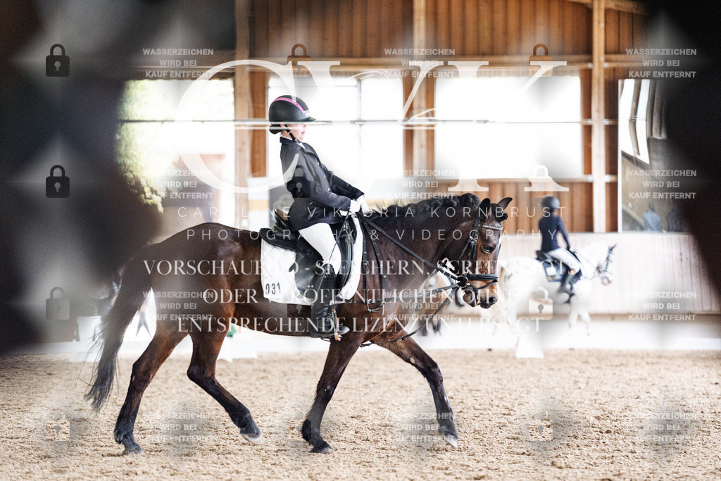 CK901287 | Turnierfotografie Pferdefotografie Trier Rheinland-Pfalz Pferdesport Reitsport Tierfotografie Sportfotografie Pferdevideo Pferdevideografie Equestrianvideography equestrianphotography  - Realisiert mit Pictrs.com