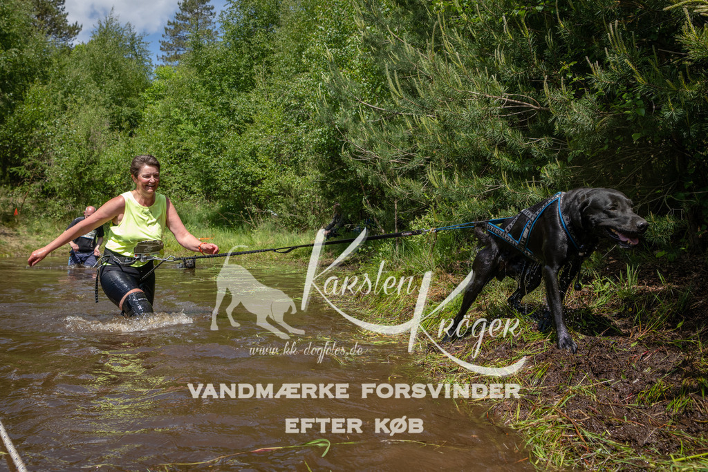 1314DKK994244 | kk-dogfotos