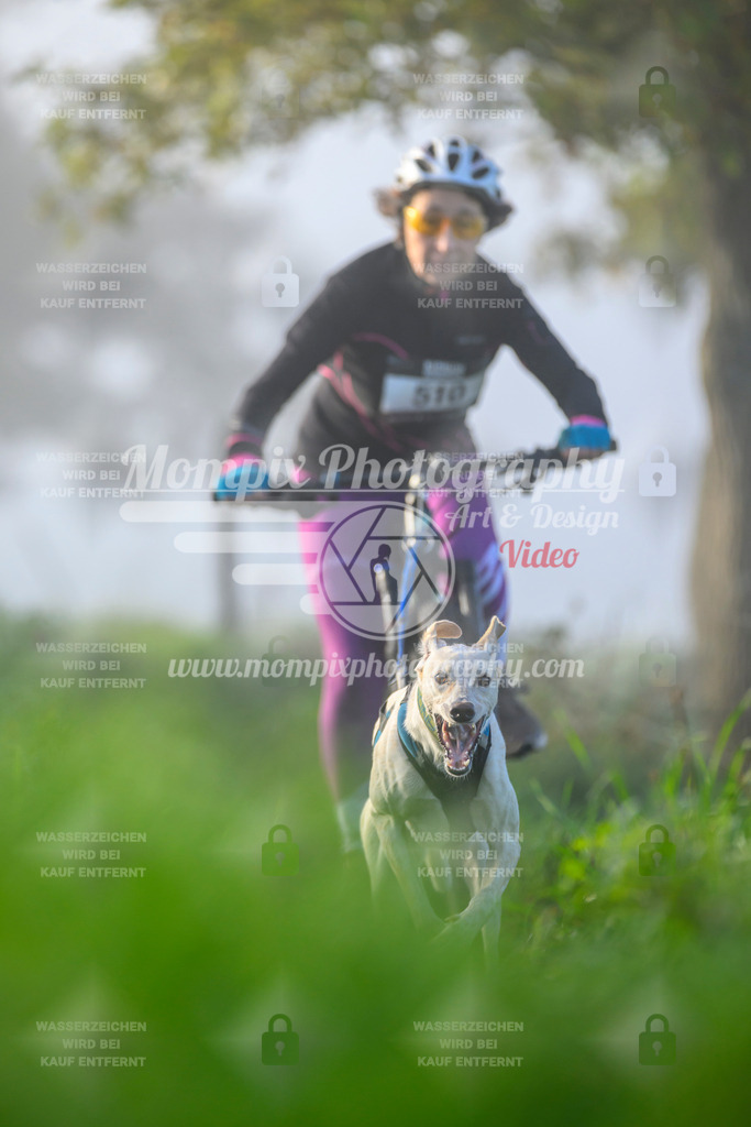 MompixPhotography_20TSB_E3_Bike-120 | PayLife