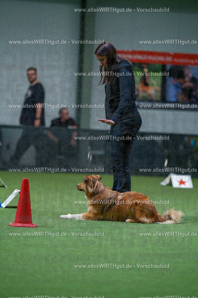 7R502955 | Professionelle Tierfotografie in Mönchengladbach von Daniel Wirth (allesWIRTHgut). Liebevolle & natürliche Bilder von Hunden & Katzen für unvergessliche Erinnerungen.