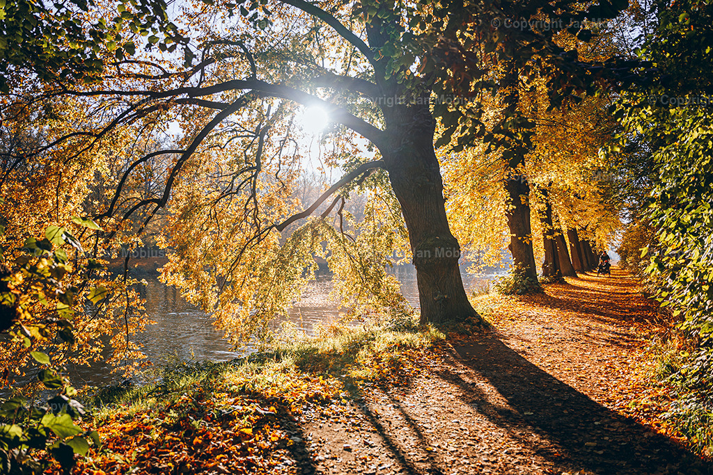 _DSC7055 | Leipzig Wandbilder Drucke Prints Leinwand Stadtmotive Leipzig Fotosdruck Kunstdrucke Bilder Leipzig Stadtansichten Acrylglasbilder Leipzig Wanddeko Fine Art Prints Wandbilder Büro Leipzig Bilder Praxis Zuhause Bilderdruck Poster Posterlounge Kunstdrucke - Realisiert mit Pictrs.com