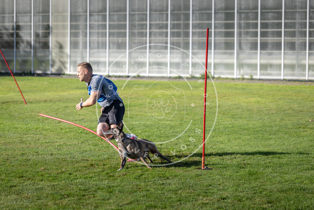 Pfotenfotografie.de_DV3A3441 | Hundefotografie, Tierfotograf, Pfotenfotografie, Fotoshooting Hund, Hunde Portrait, Hundesport, Hundeportraits, Heideshooting, Hunde, Sportfotograf, Hundefotograf, Turnierhundsport, THS, canicross - Realisiert mit Pictrs.com