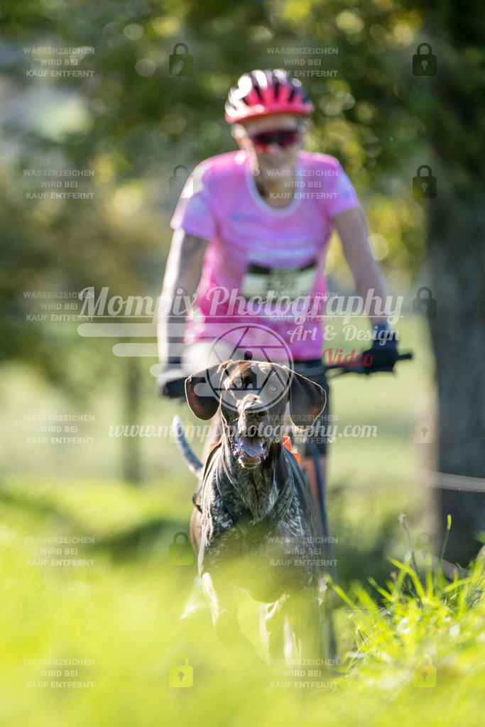 MompixPhotography_20TSB_E3_DS1-19 | PayLife