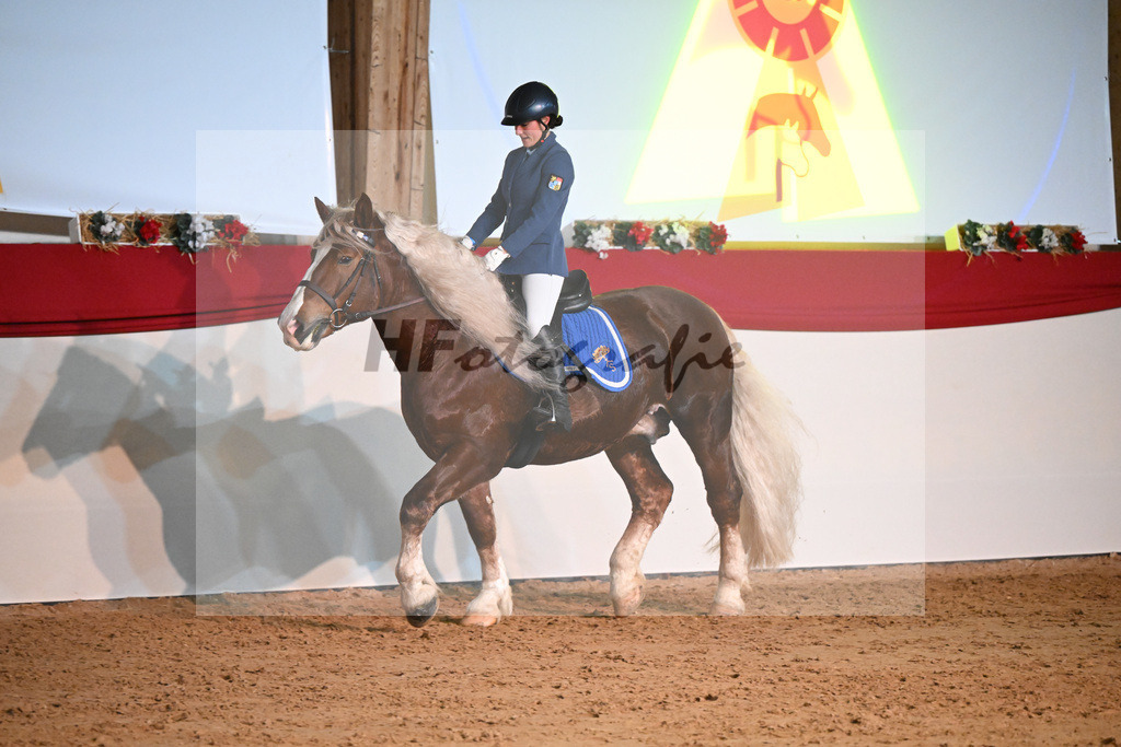 Kaltblutquadrille_1234568 | hf-fotografie - Realisiert mit Pictrs.com