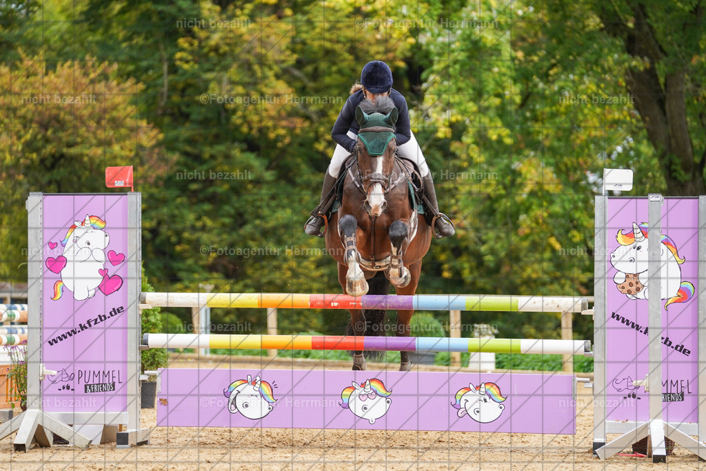 20221009-FAH08699 | Diessen am Ammersee, 2022, Dressur- und Springturnier, Reitsportbilder, Turnierfotografen Bayern, Pferdefotografen, Fotoagentur Herrmann, Turnierbilder