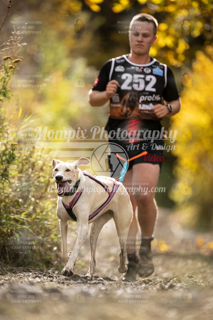 MompixPhotography_ICF_WC_2024_SA_Run_-68 | PayLife