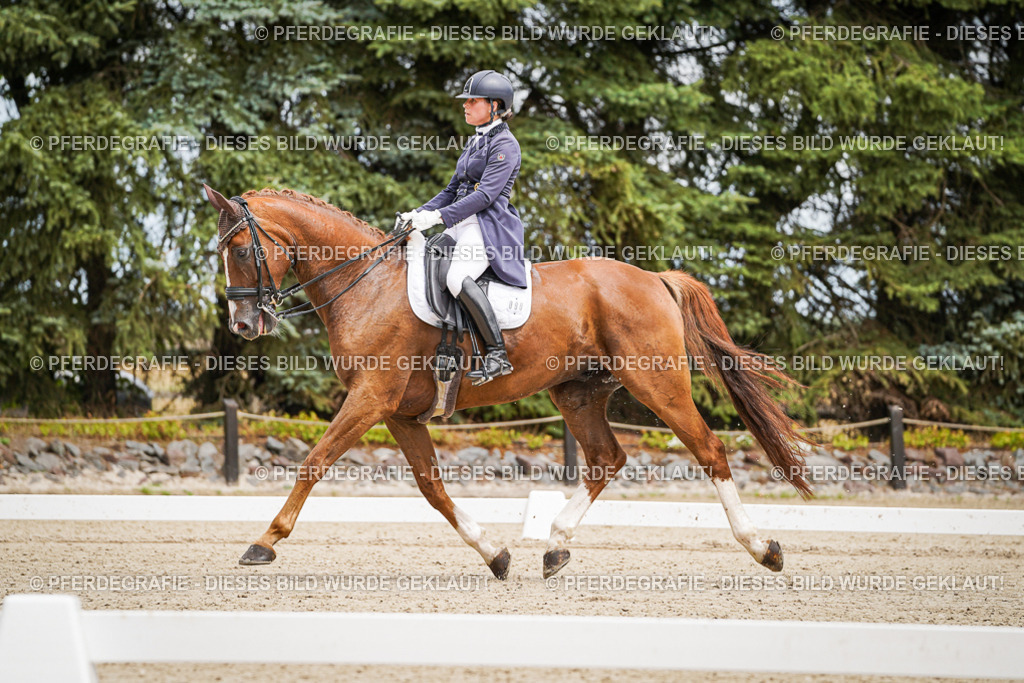 DSC04890 | Pferdegrafie