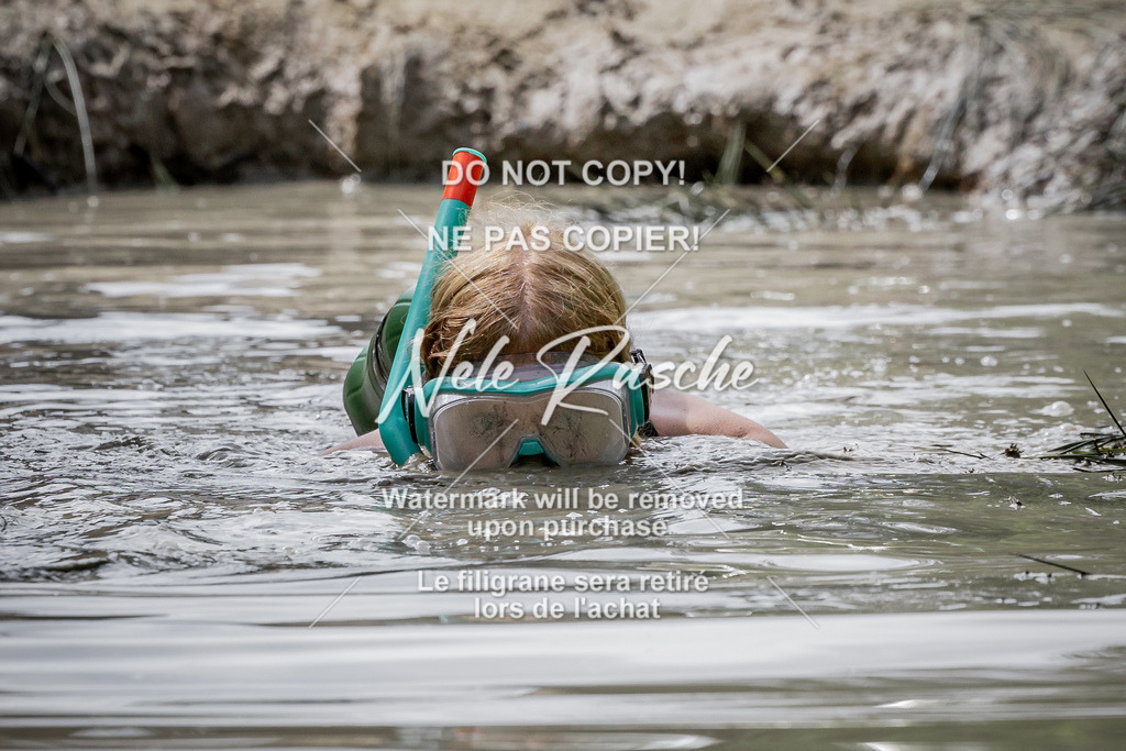 nelerasche_so1100-1145_134 | nelerasche