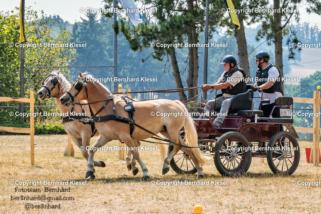 2A903161 | foto-team-bernhard - Realisiert mit Pictrs.com