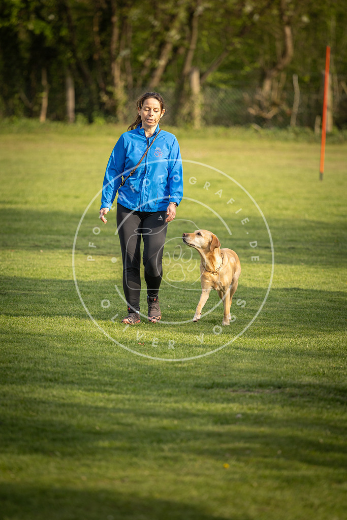 Pfotenfotografie_DV3A4775 | Hundefotografie, Tierfotograf, Pfotenfotografie, Fotoshooting Hund, Hunde Portrait, Hundesport, Hundeportraits, Heideshooting, Hunde, Sportfotograf, Hundefotograf, Turnierhundsport, THS,  - Realisiert mit Pictrs.com