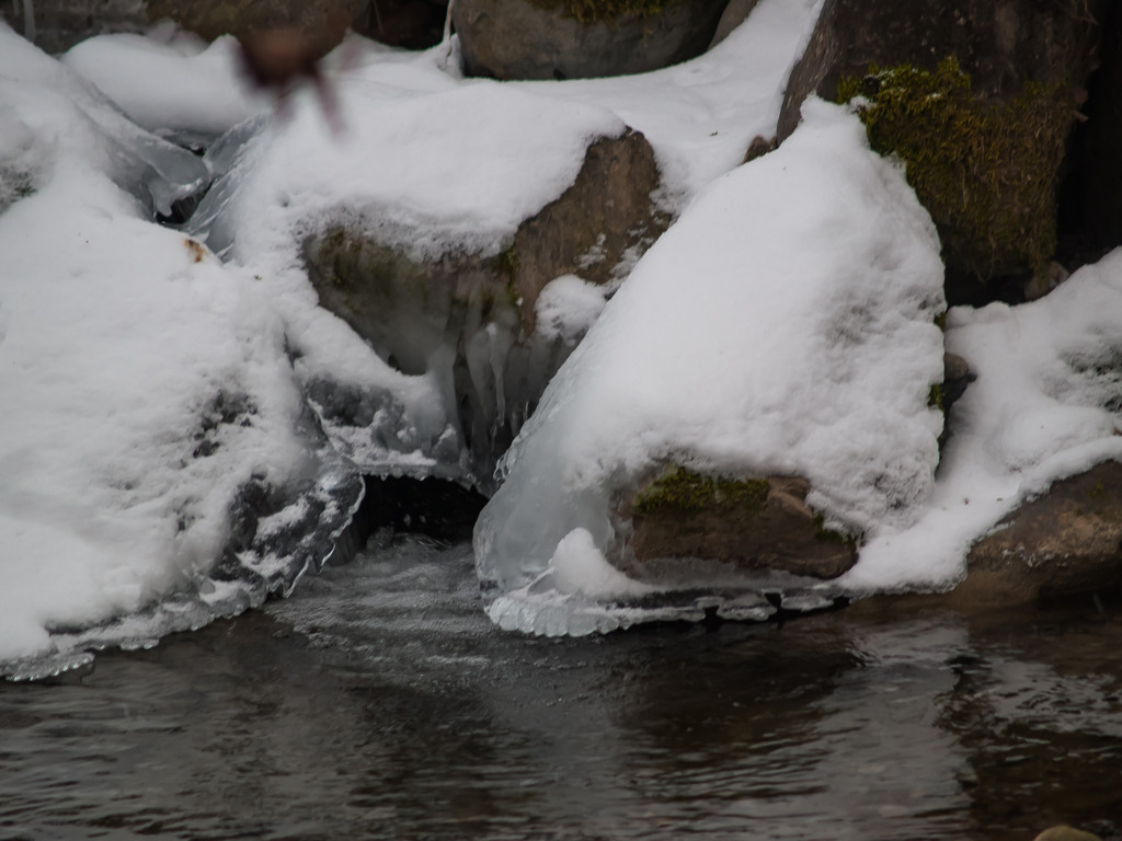 PSX_20230127_234052 | OLYMPUS DIGITAL CAMERA - Realisiert mit Pictrs.com