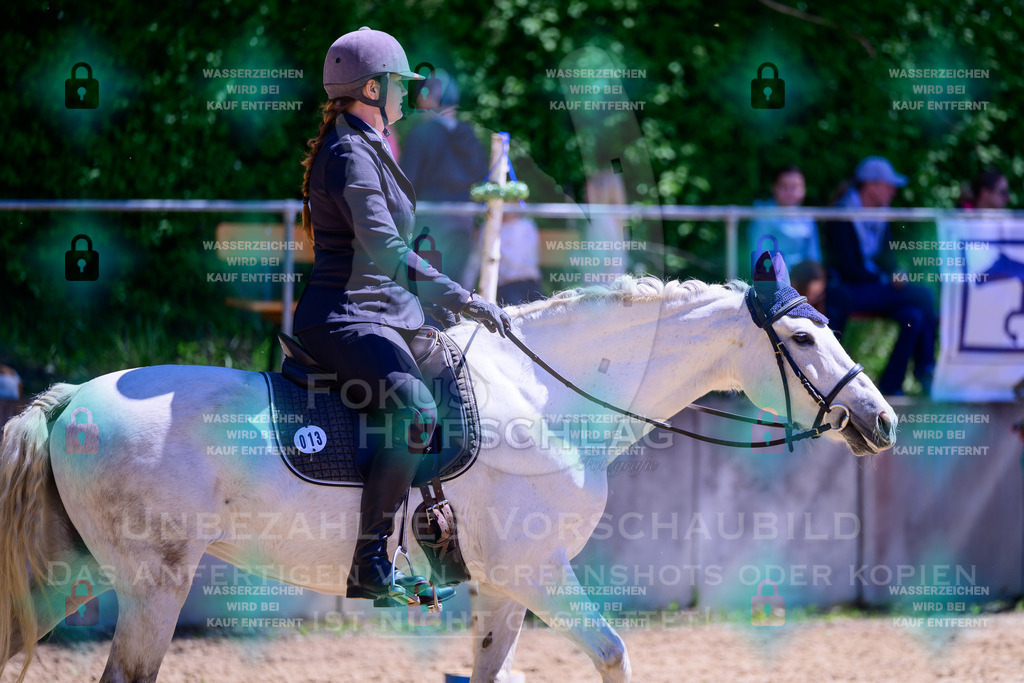 01052026-Giesenbach-02-Stiltrail-0145 | Fokus Hufschlag Fotografie - Realisiert mit Pictrs.com