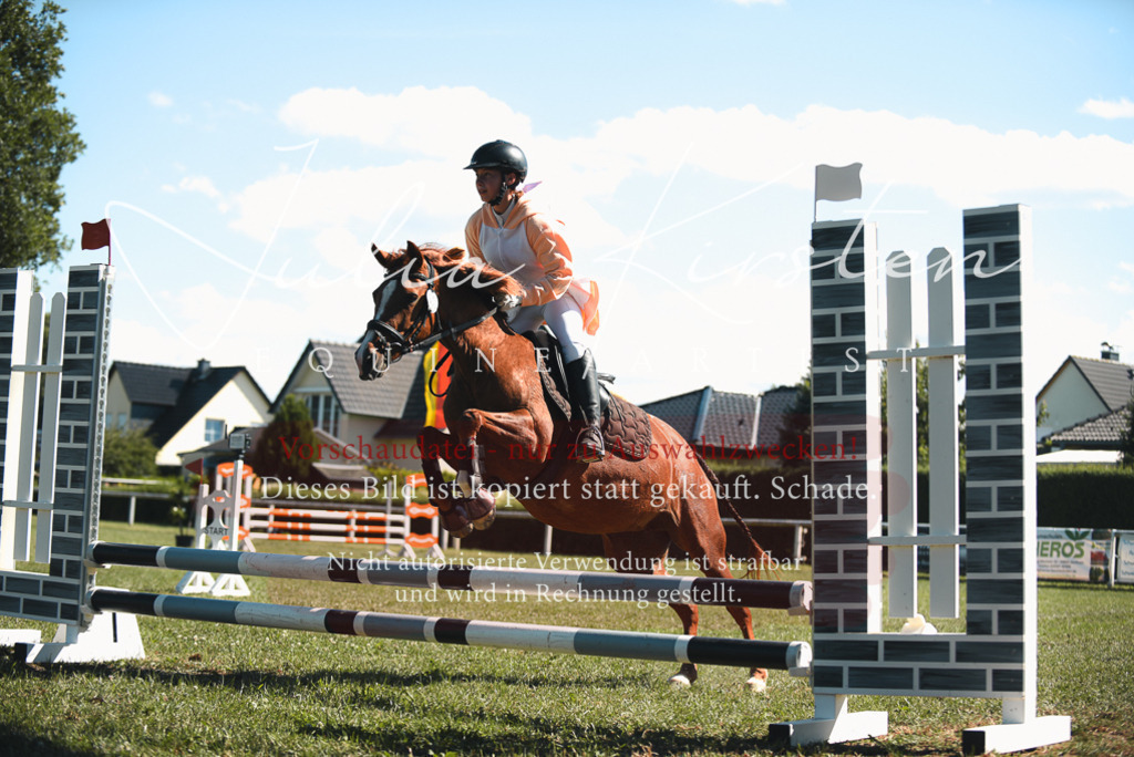 DSC_7375 | Pferde- und Turnierfotografie in Westsachsen. Pferdeportraits, Auftragszeichnungen und intuitive Kunst.