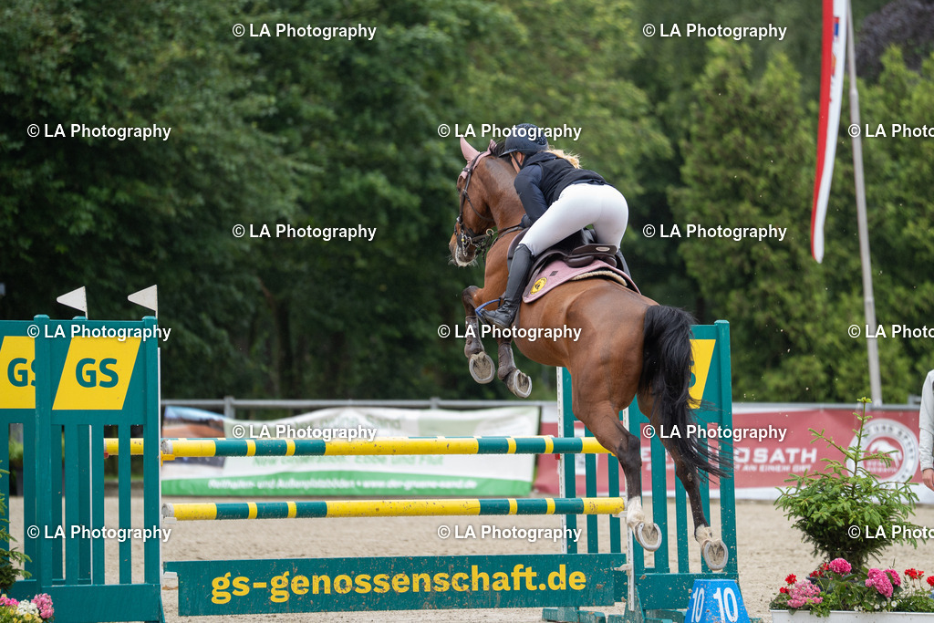 DSC07139 | Entdecke einzigartige Turnierfotos und persönliche Pferde- und Hundeportraits bei LA Photography. Für jeden Reiter und Pferd das perfekte Bild! Stöbere jetzt! - Realisiert mit Pictrs.com