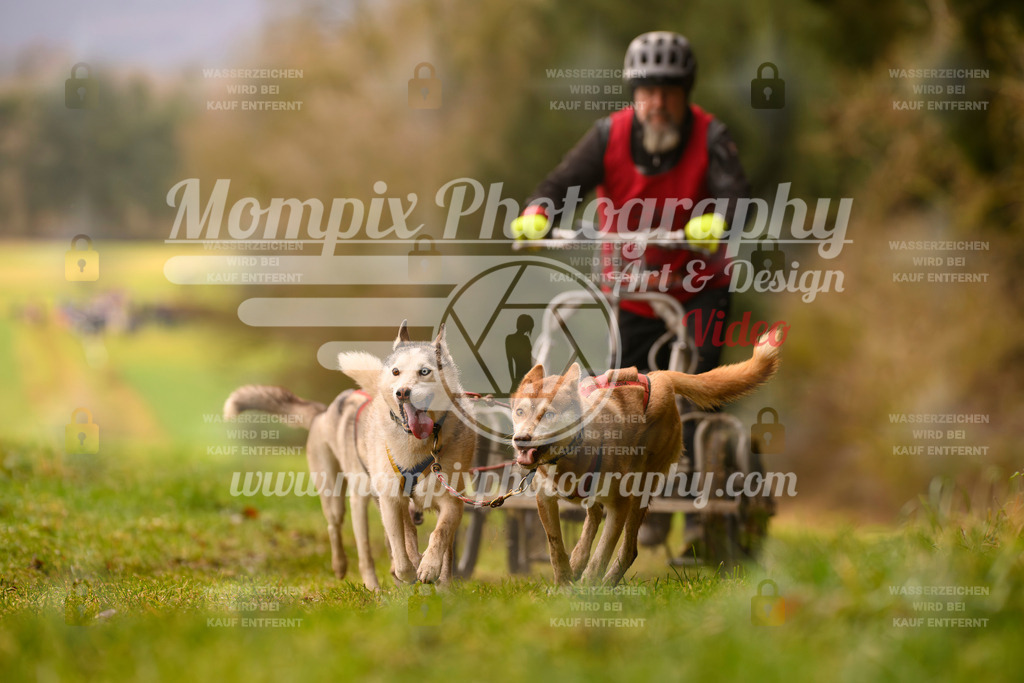 MompixPhotography_2SSTSSBW_2025_SO_Kart-22 | PayLife